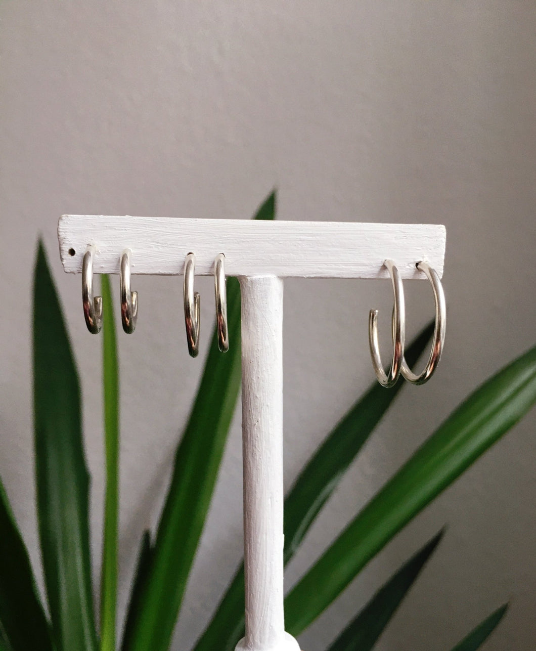 Three Kathrin Jona silver hoop earrings on a stand next to a plant.